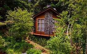 Los Pinos Cabins & Reserve
